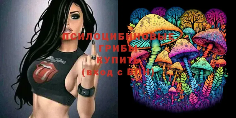 Псилоцибиновые грибы Magic Shrooms  купить наркоту  Рыбинск 